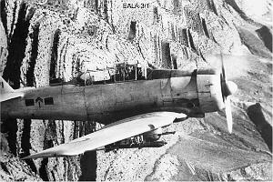 196- ARMEE DE L'AIR EN ALGERIE 1945-1962-44 (62)